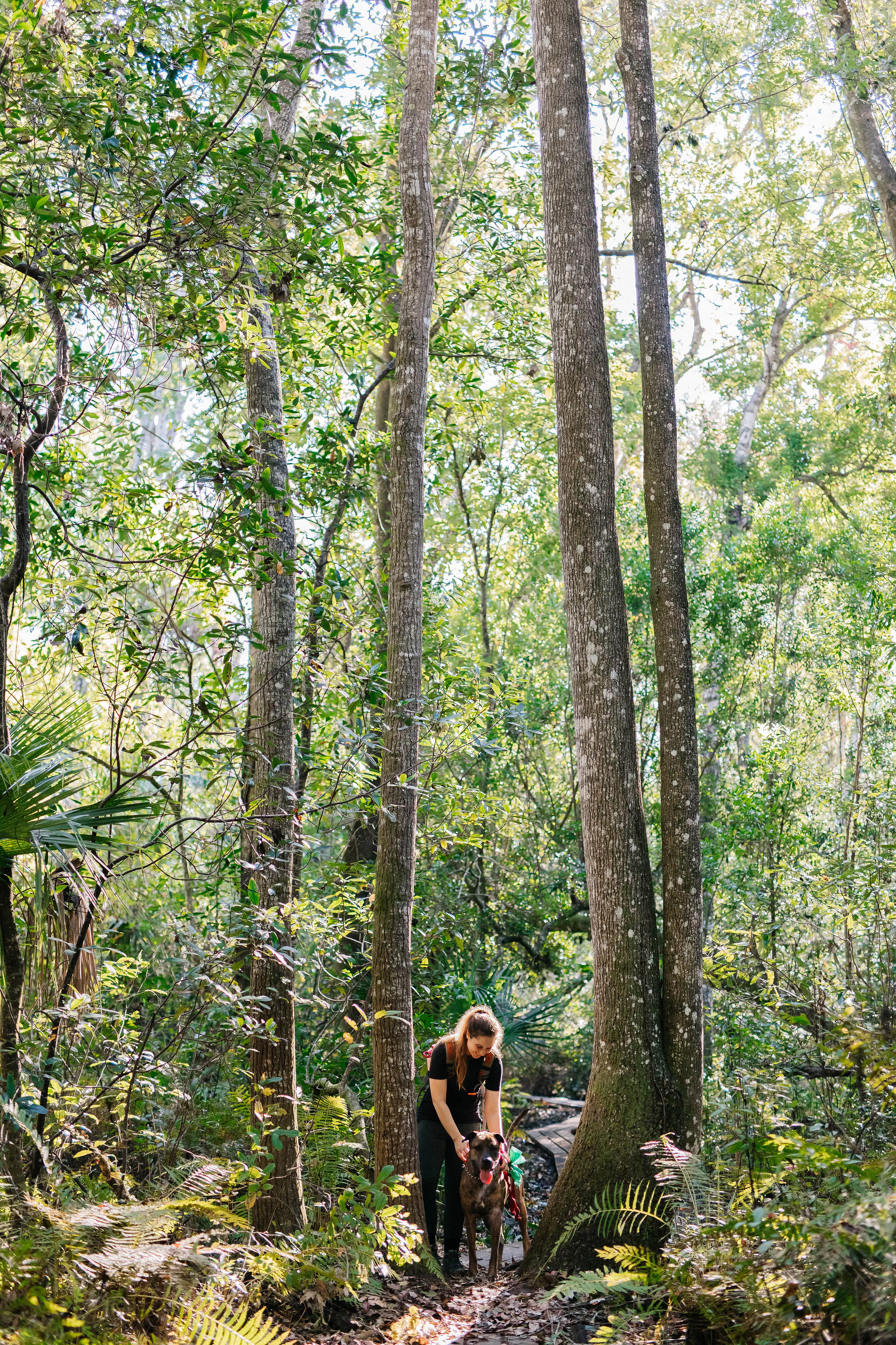 Woman and dog hiking on a forested trail