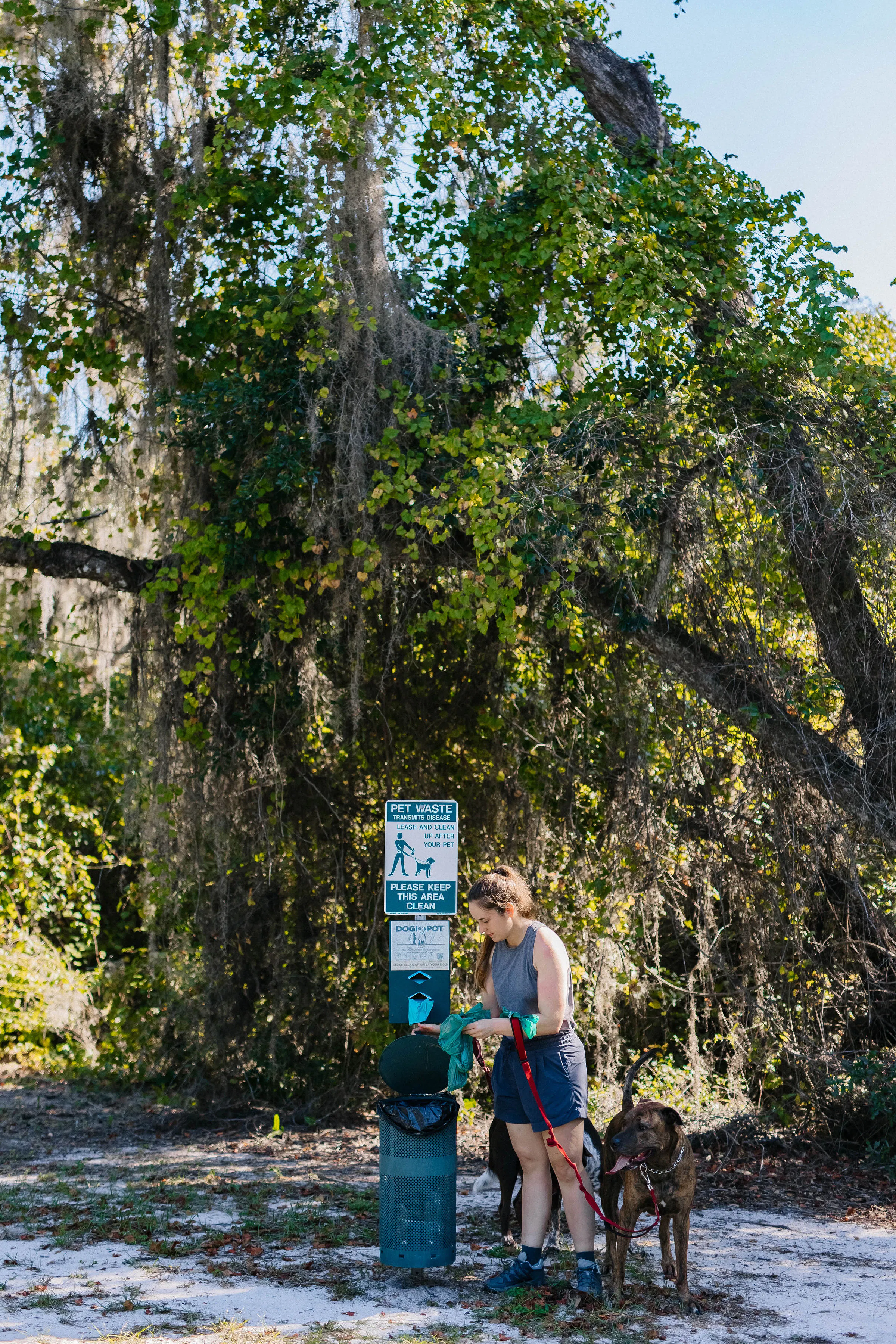 Woman wearing the Oboz Arete Low hiking shoes grabbing poop bags with a dog