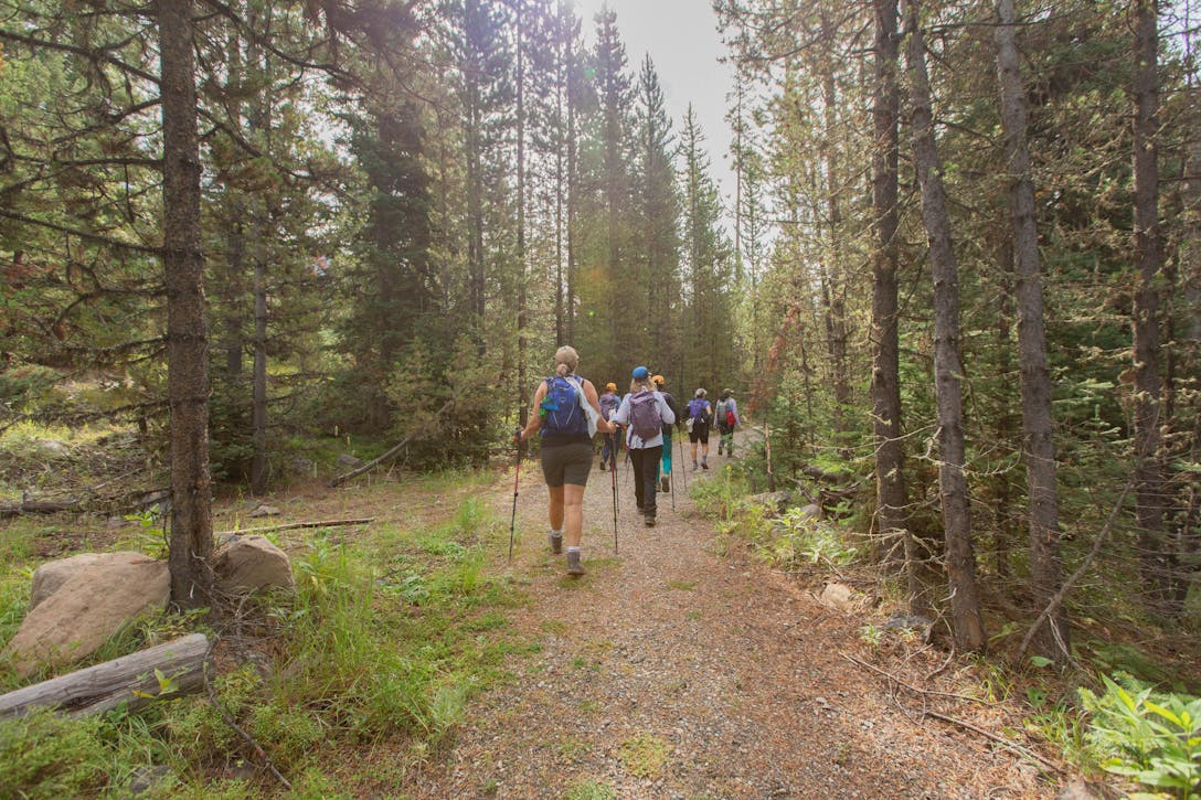 Participants of the 52 Hike Challenge, hike on a forest trail in Montana's Hyalite Valley. 