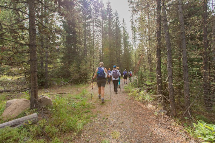 Participants of the 52 Hike Challenge, hike on a forest trail in Montana's Hyalite Valley. 