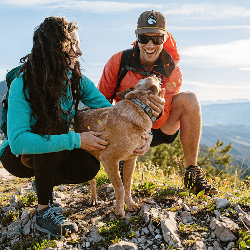 Hikers with their dog out on the trail in Oboz Bozeman hiking boots.