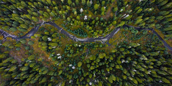 An aerial view of a river passing through a forest