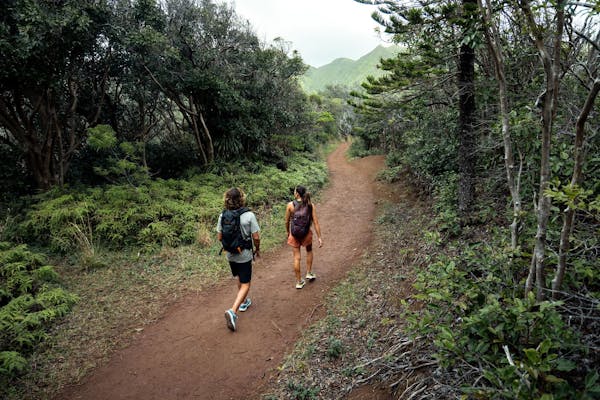 Two people walk through a hiking trail in Hawaii in Oboz Cottonwood hiking shoes. 