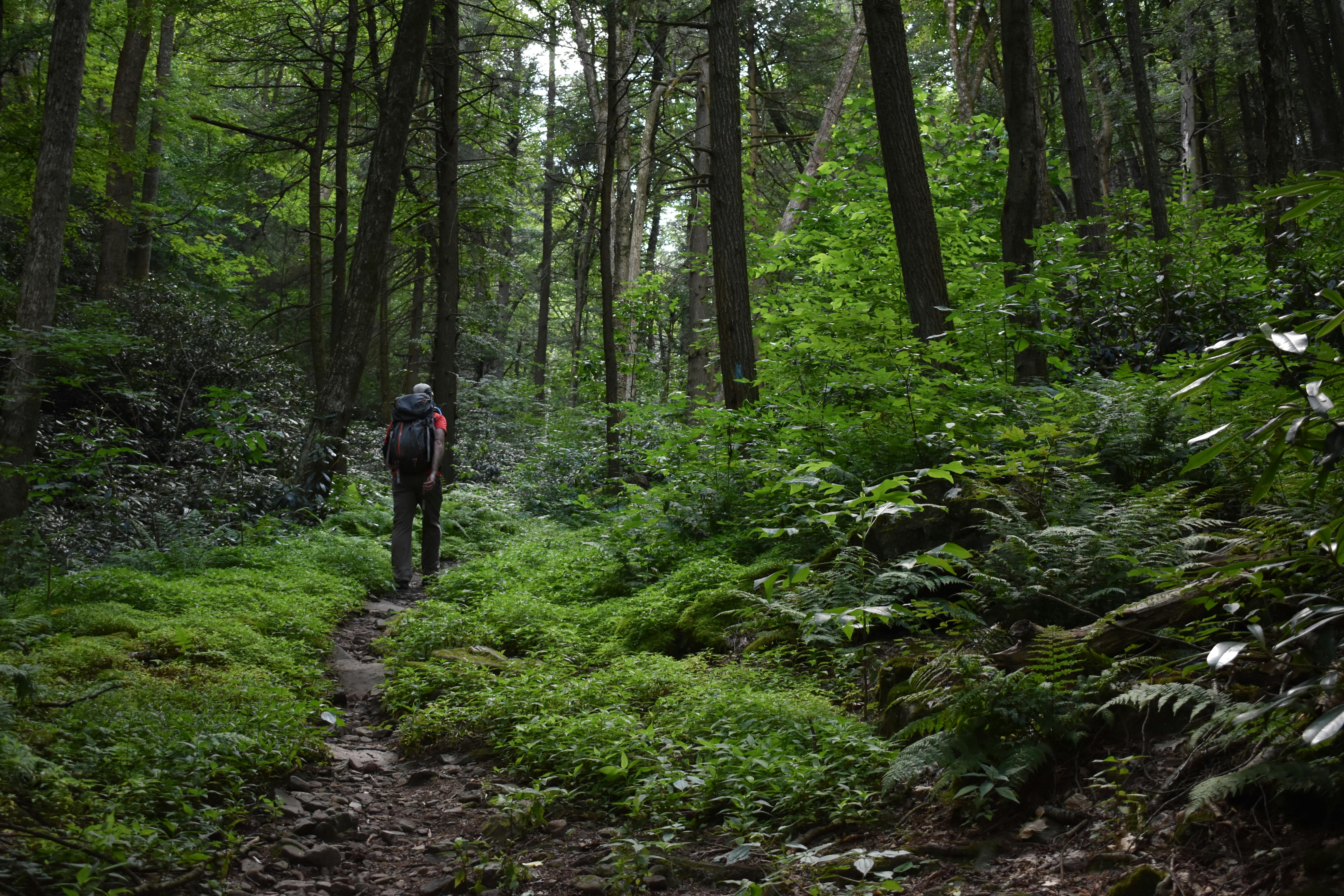 Test hike with the Sawtooth X Low Waterproof. Image credit: Jory Brass