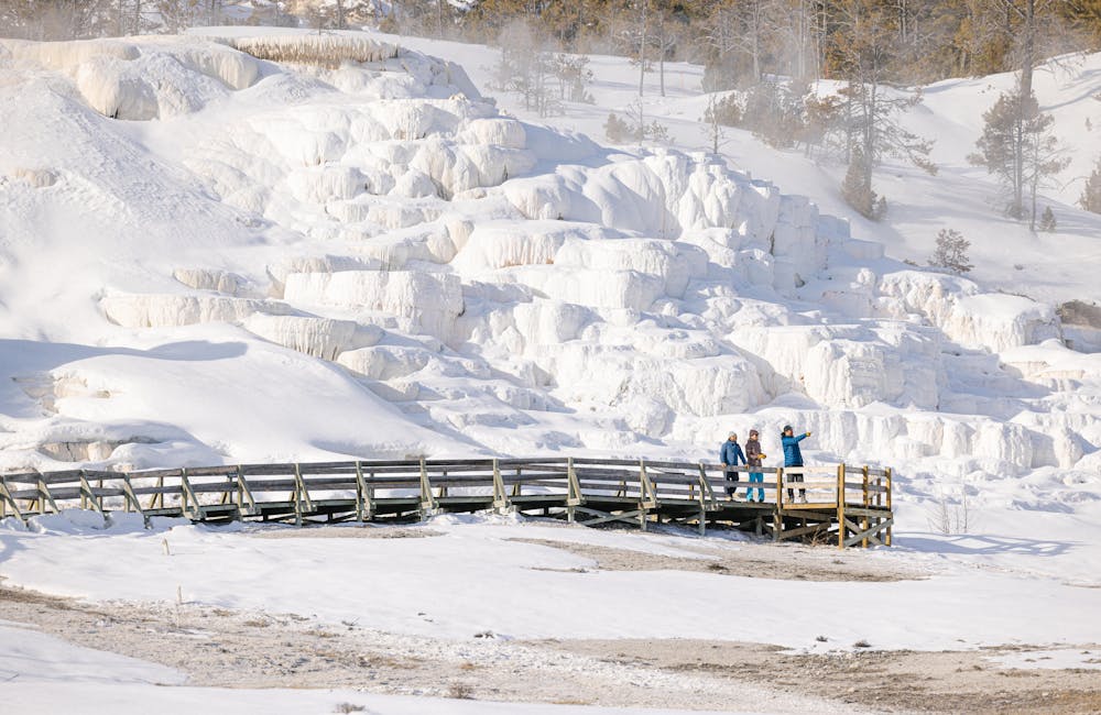 Three friends on a wooden boardwalk in front of Mammoth Hot Springs in Yellowstone National Park.