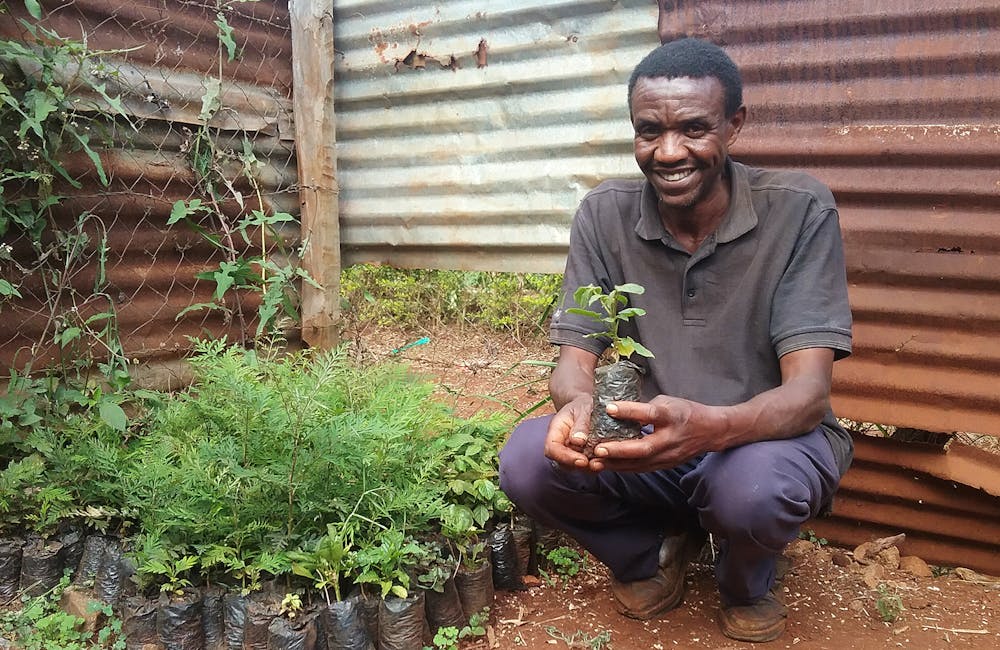 photo: courtesy Trees for the Future