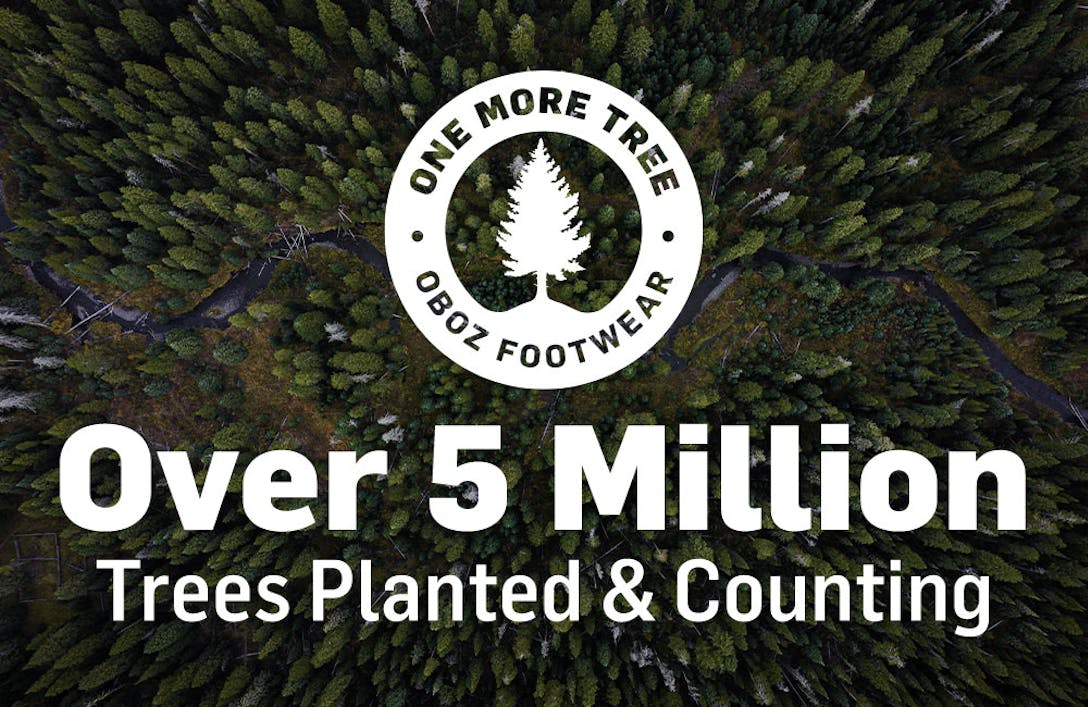 Over 5 million trees planted and counting