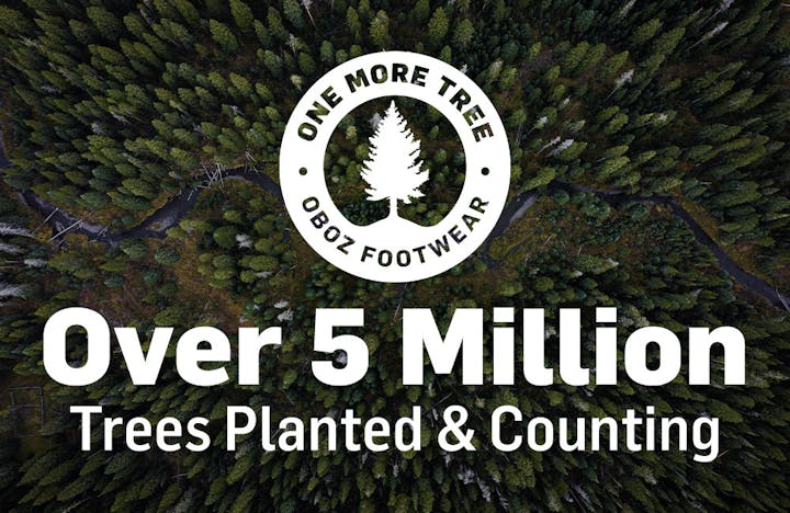 Over 5 million trees planted and counting