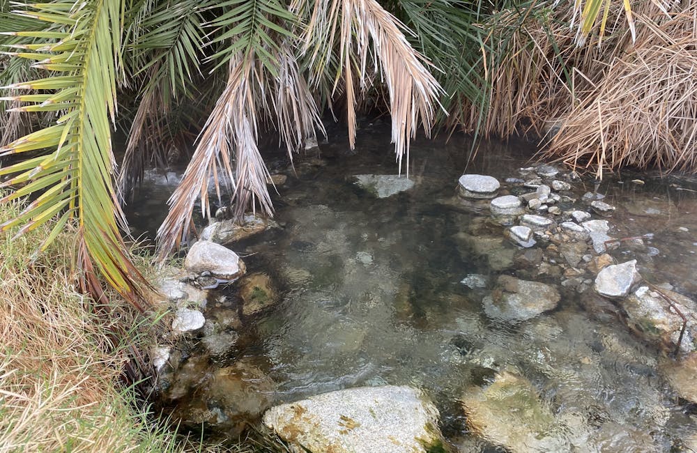 Hot springs off the Sespe River Trail.