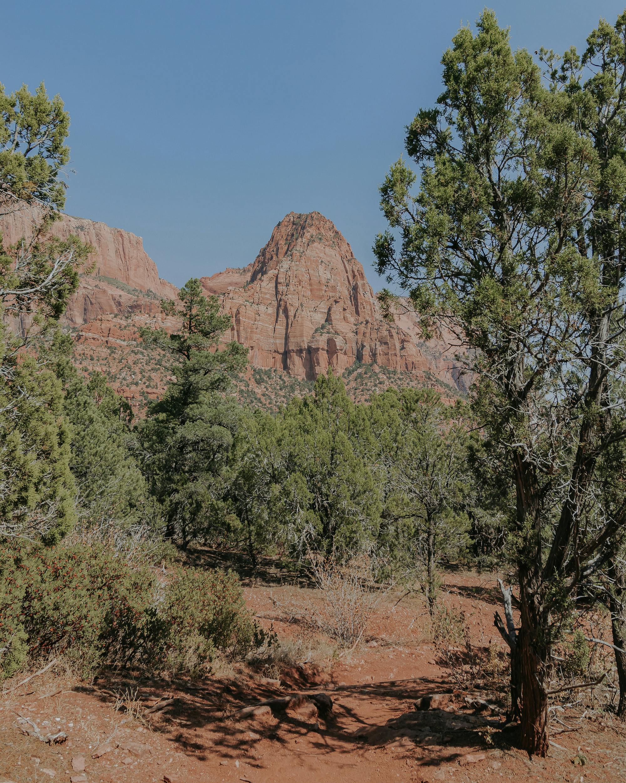 Dirt trail with large rock feature in Zion National Park.