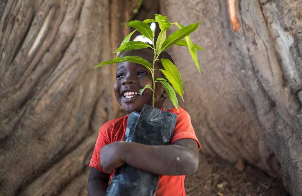 photo: courtesy Trees for the Future