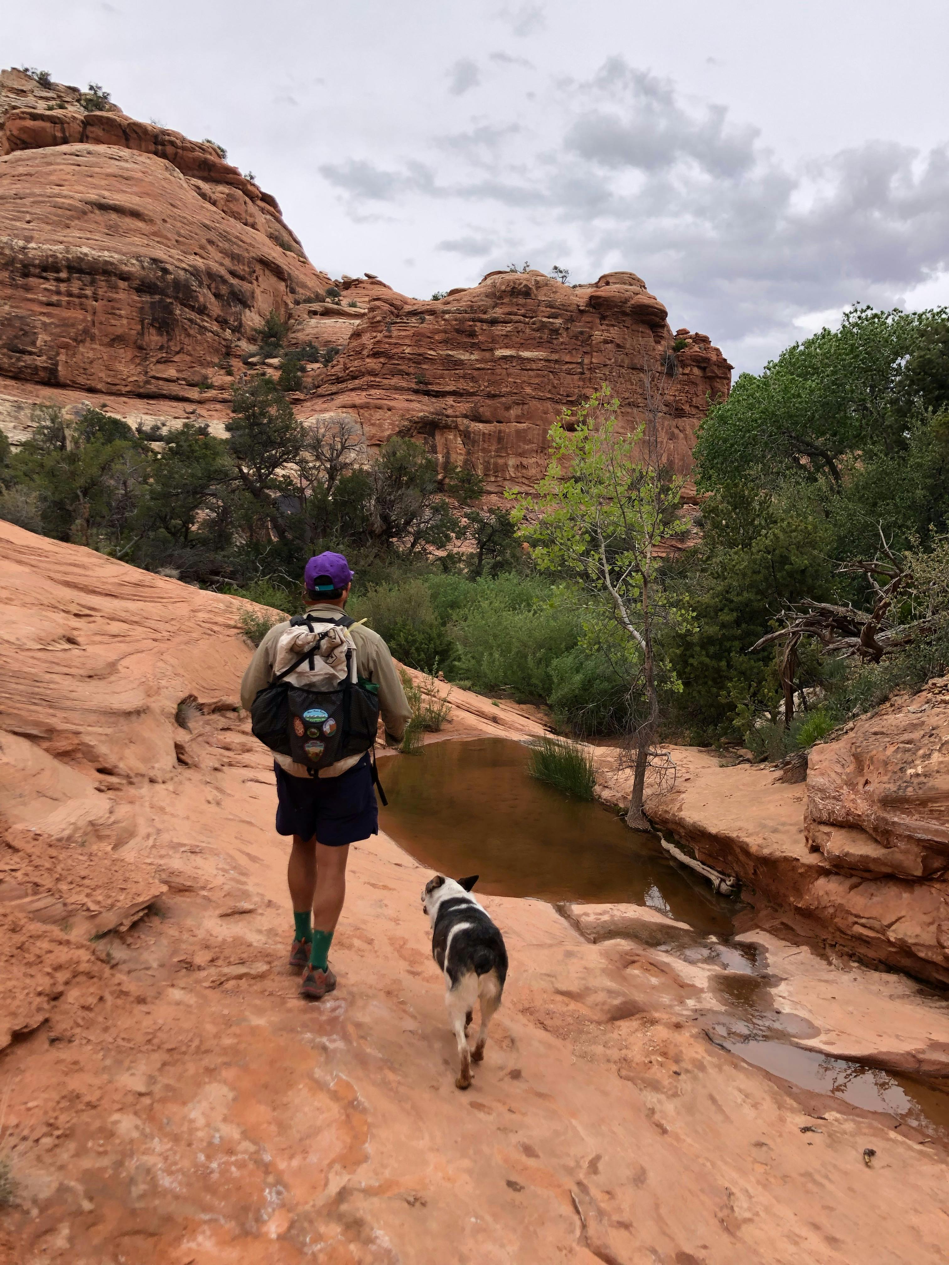A hiker in his dog walking through the desert wearing Oboz hiking shoes
