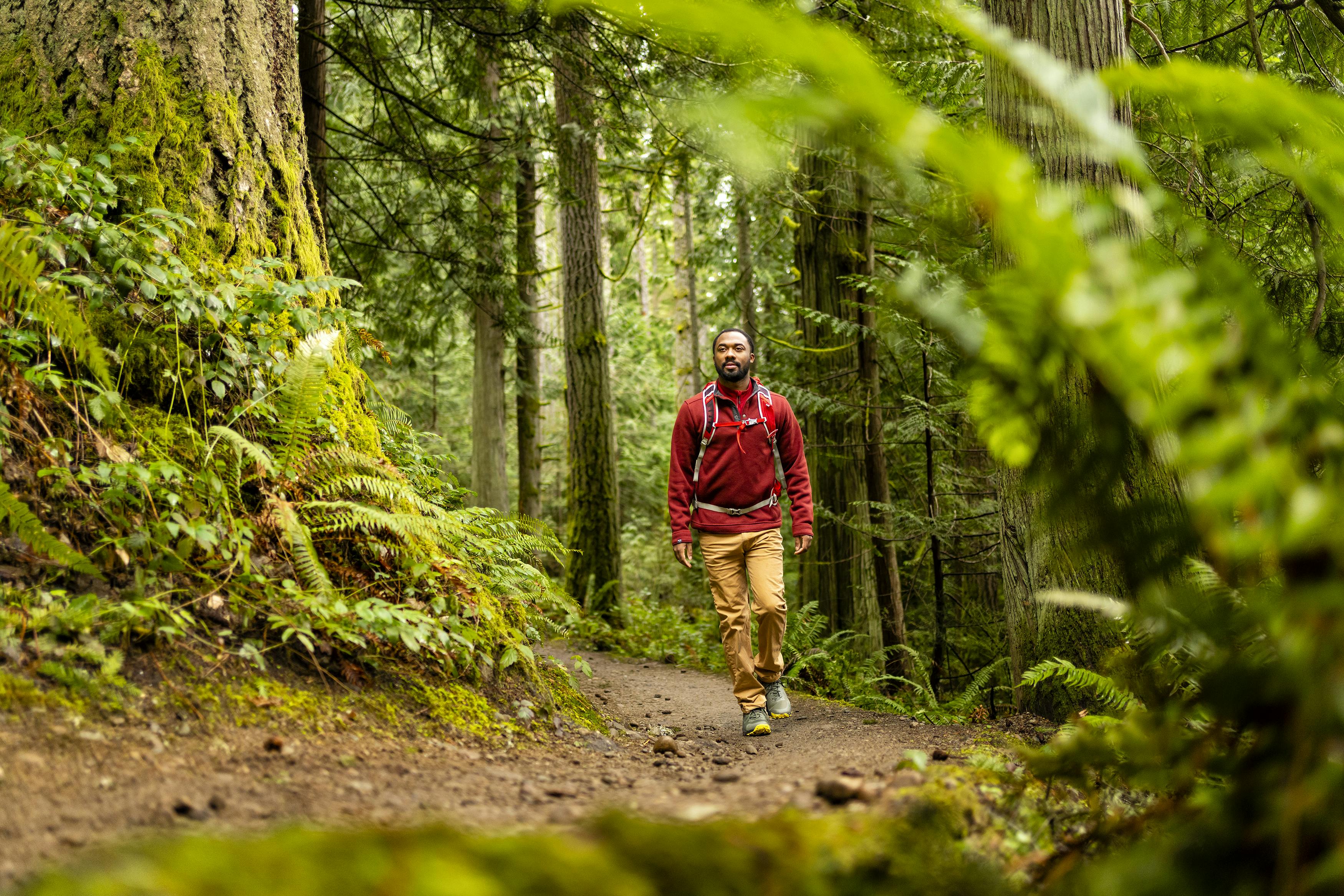 Person hiking around in the Katabatic low hiking shoes on a lush forested trail 
