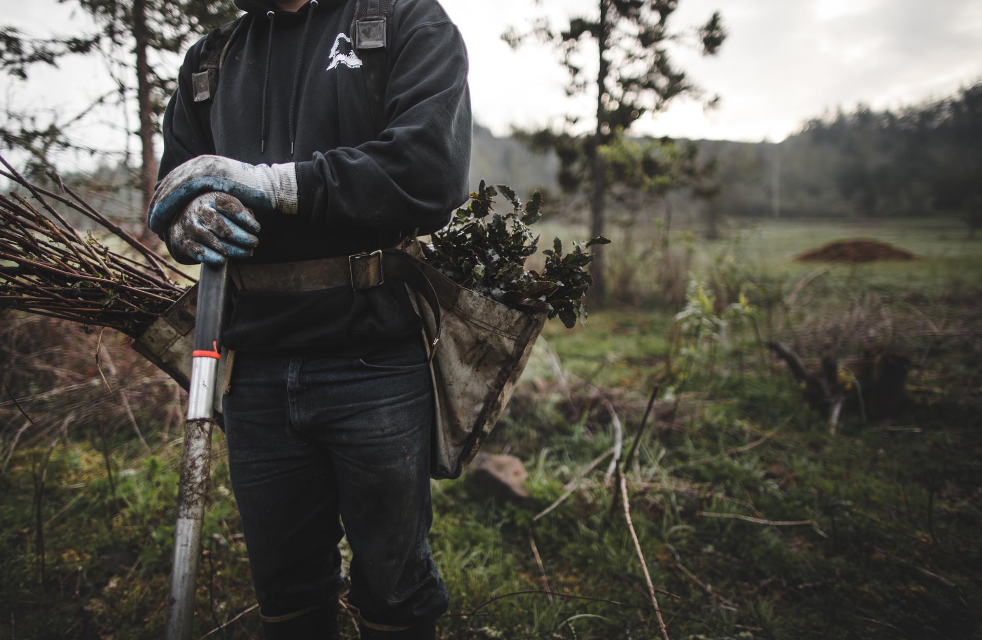 Oboz Footwear One More Tree planting partner, veritree, reforesting in Oregon.