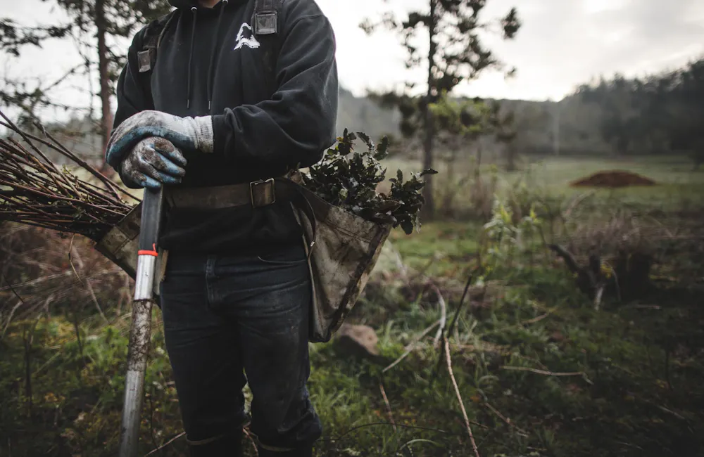 Oboz Footwear One More Tree planting partner, veritree, reforesting in Oregon.
