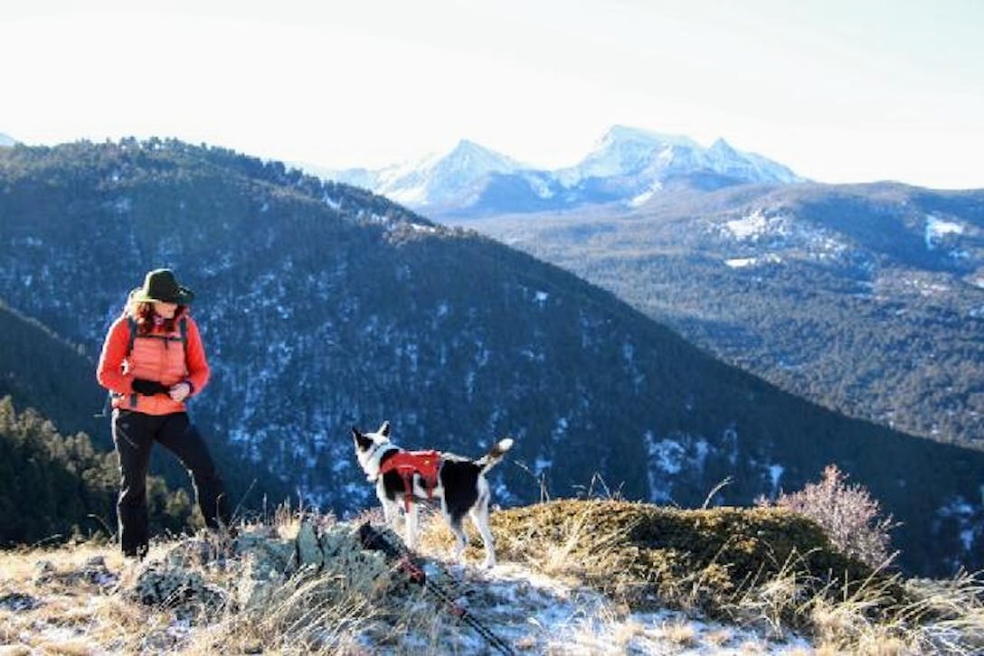 Oboz Local Hero, Hallie Zolynski, with her dogs in the Anaconda-Pintler Wilderness.