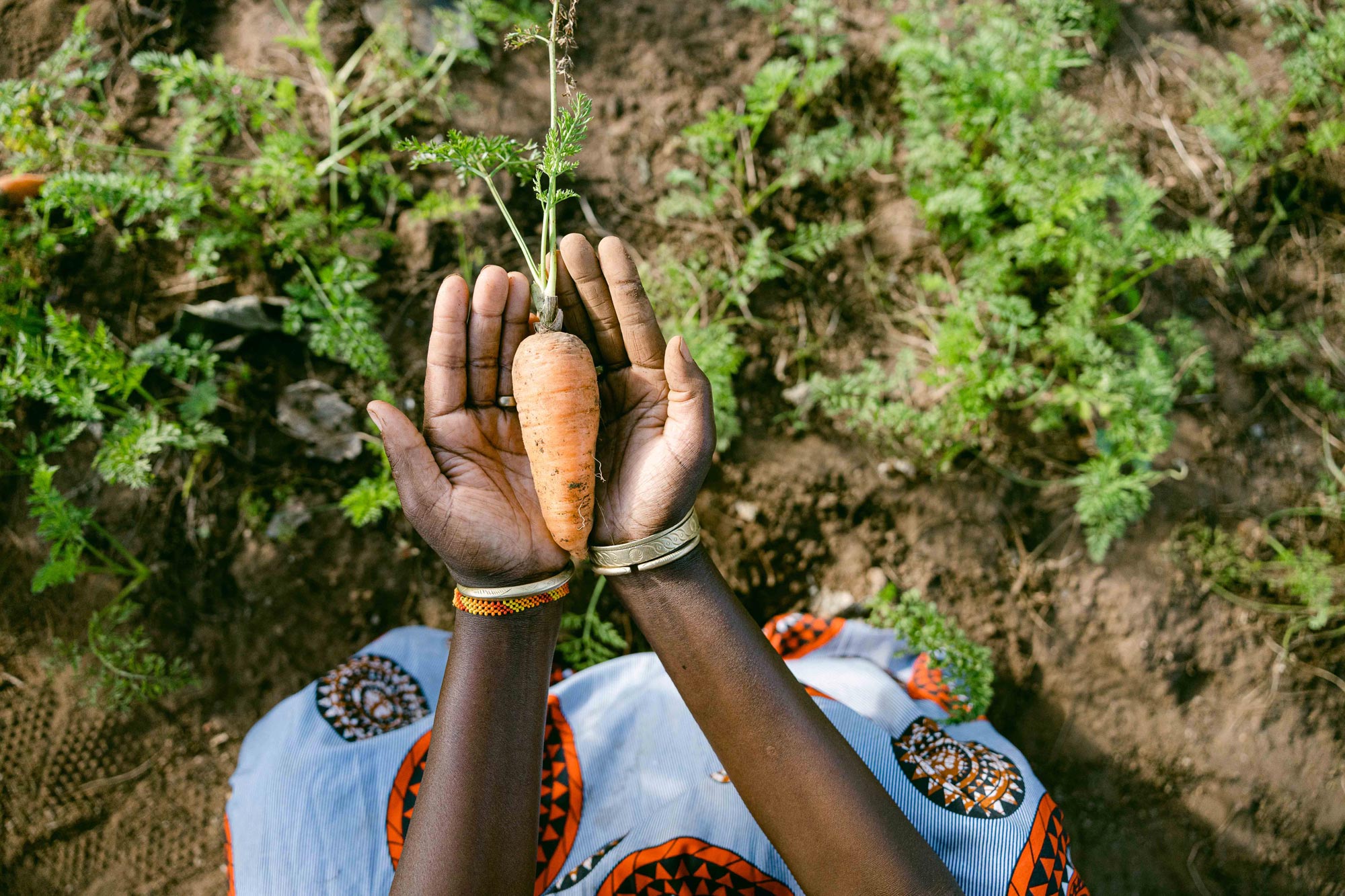 Woman holding a carrot in a One More Tree farming facility.