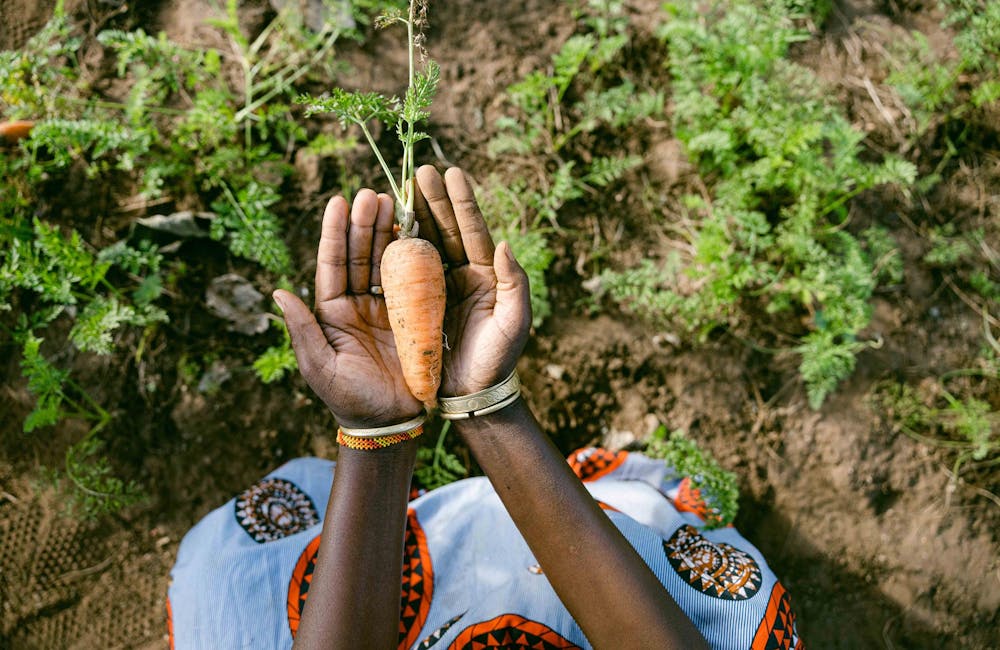 Woman holding a carrot in a One More Tree farming facility.