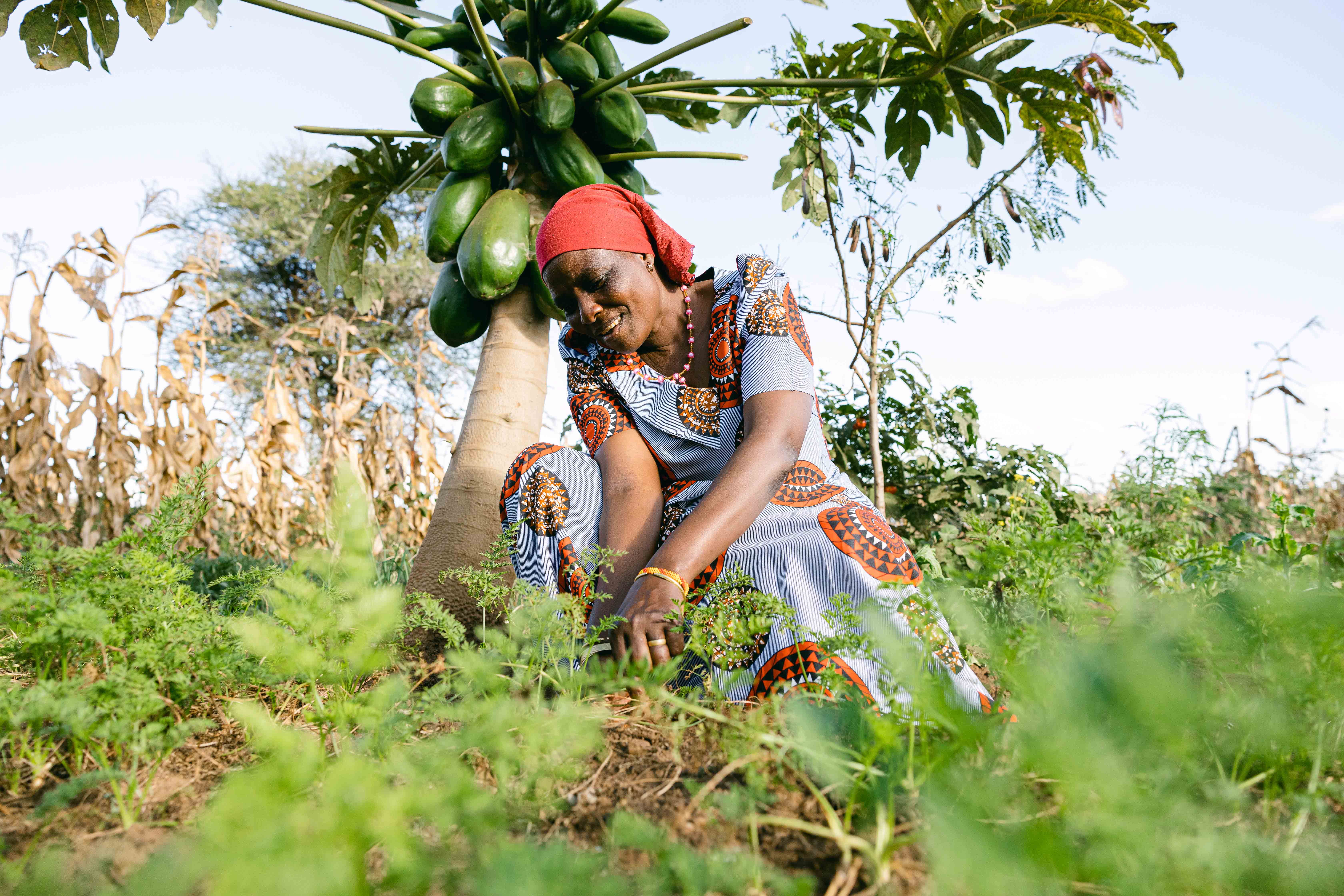 Woman gardening in a One More Tree farming facility.