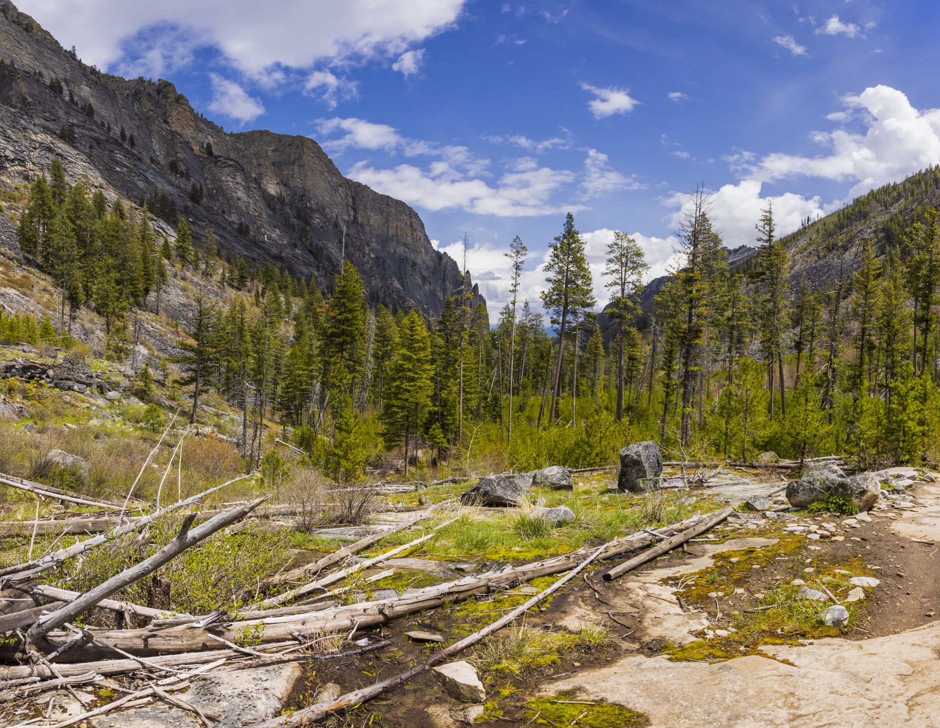 Oboz Partner Wild Montana summer trail of the week