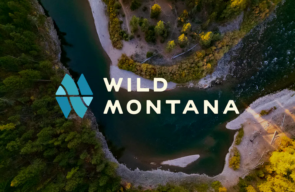 Wild Montana Logo