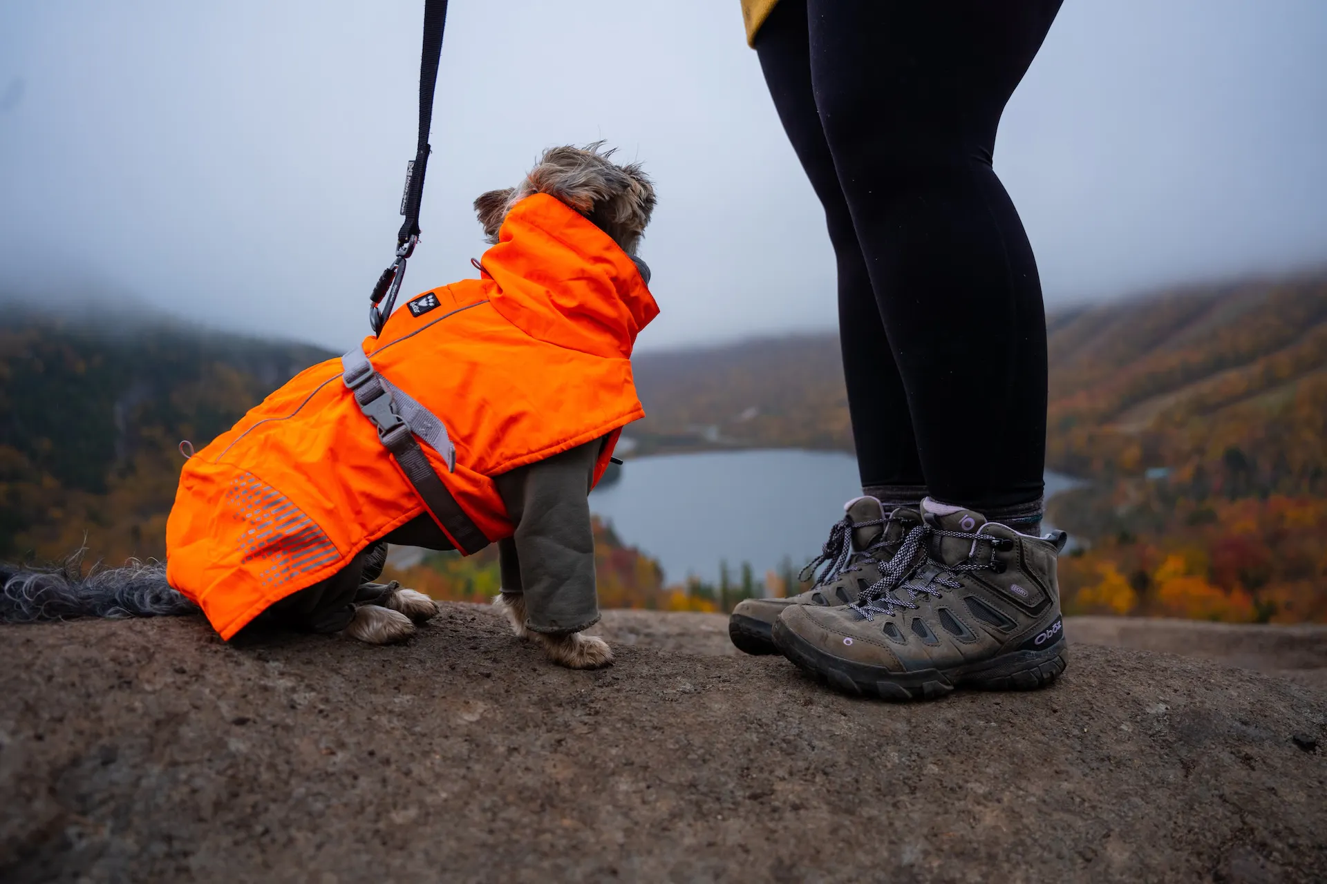 A hiker in Oboz Footwear with their dog in an orange vest on a long mountain hike.