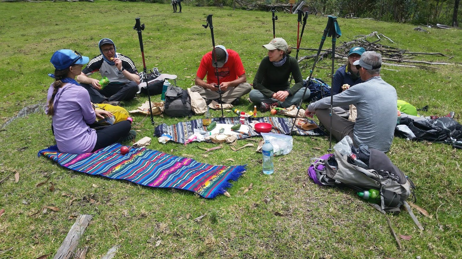 Group of hikers having lunch in an alpine meadow
