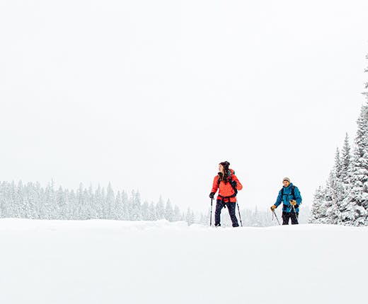 couple snowshoeing in a wintery forest