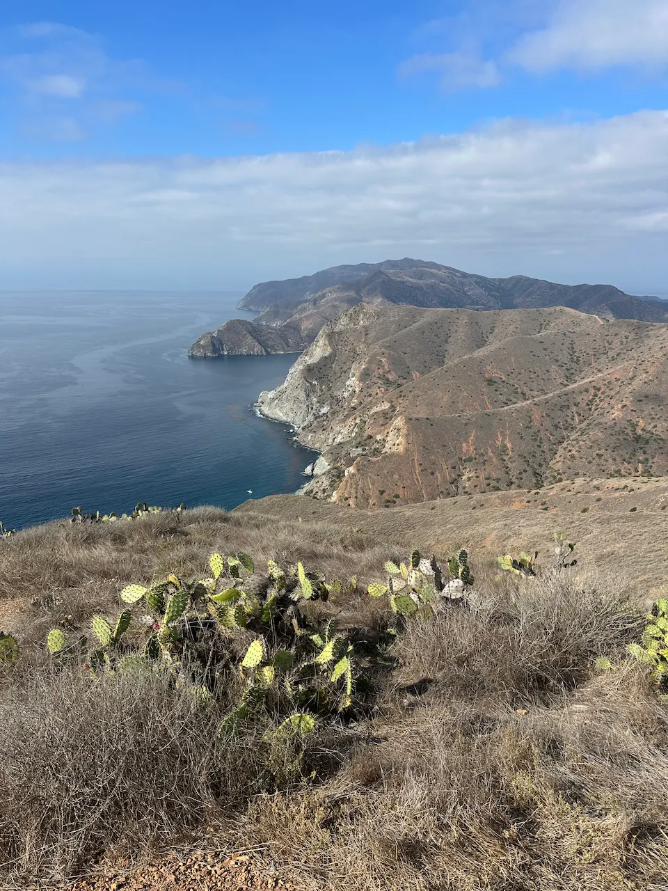Visa views on the Catalina trail with cactus and a beautiful coastline