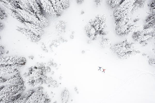 Snow angels in the forest