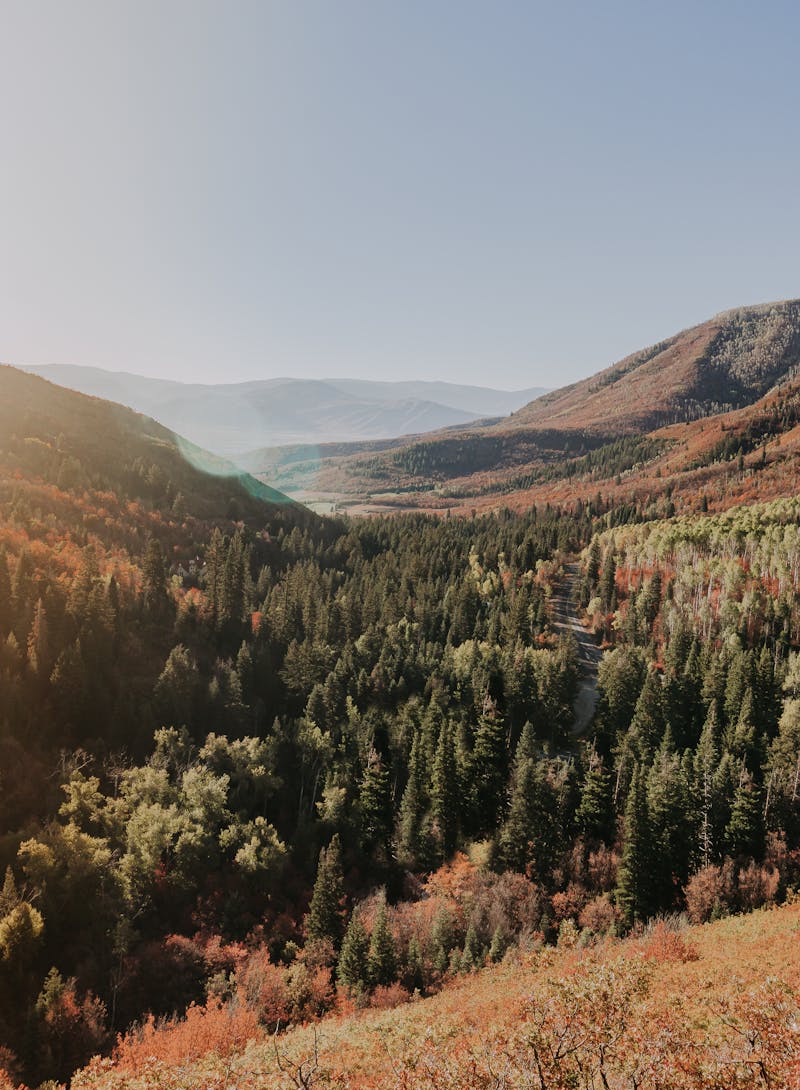 Colorful valley views taken on Shoshone-Bannock Indigenous lands