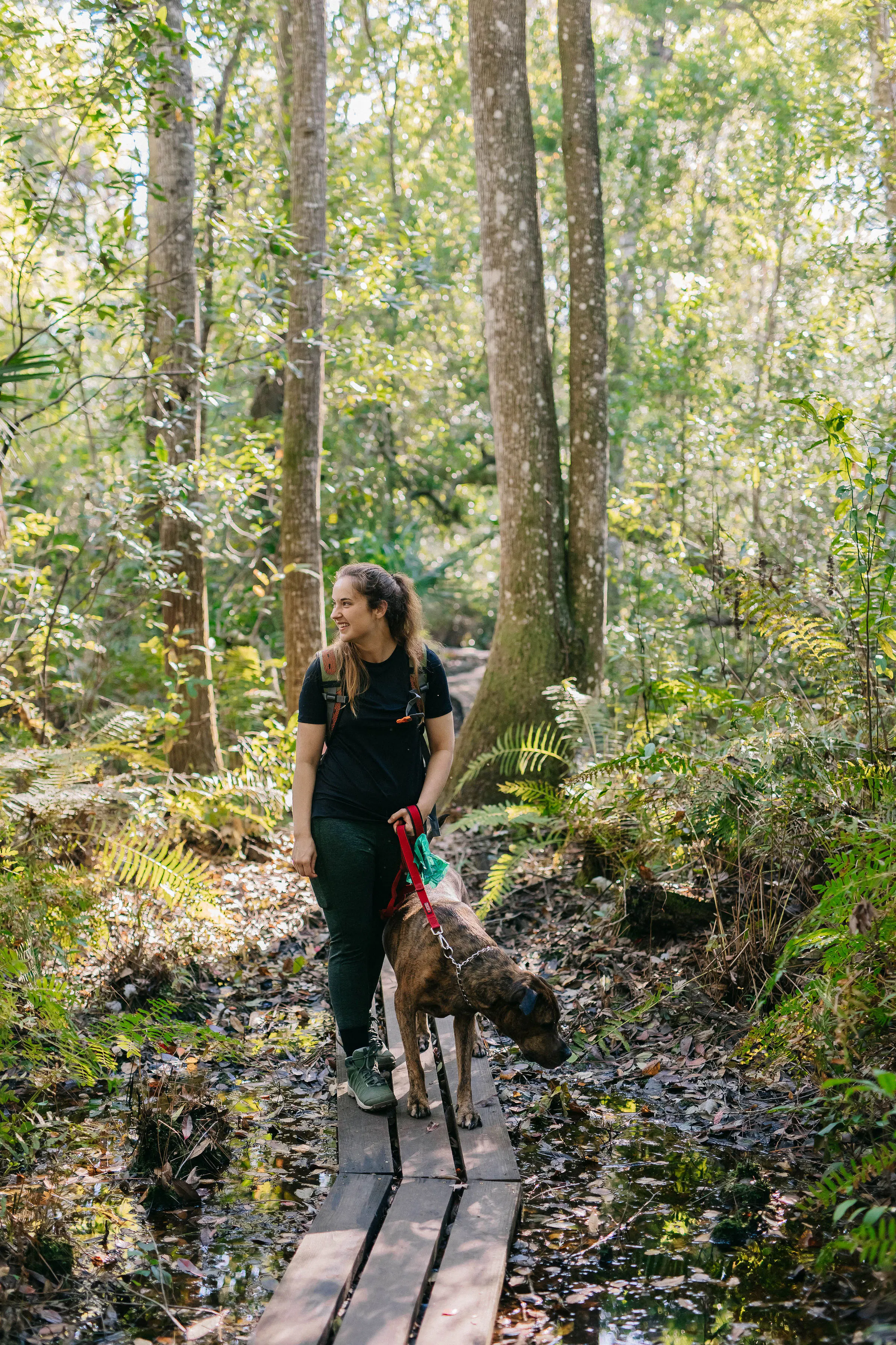 Woman hiking on a wooden trail in the Oboz Sypes Mid Leather B Dry hiking boots with a dog
