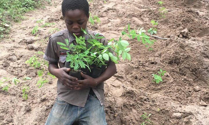 Child planting a tree that was supplied from Oboz Footwear's One More Tree Initiative