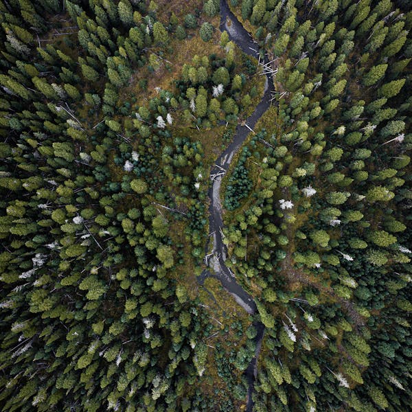 Drone angle of a river flowing through a dense wooded forest.