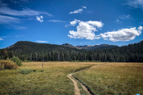 Image courtesy of the Tahoe Rim Trail Association