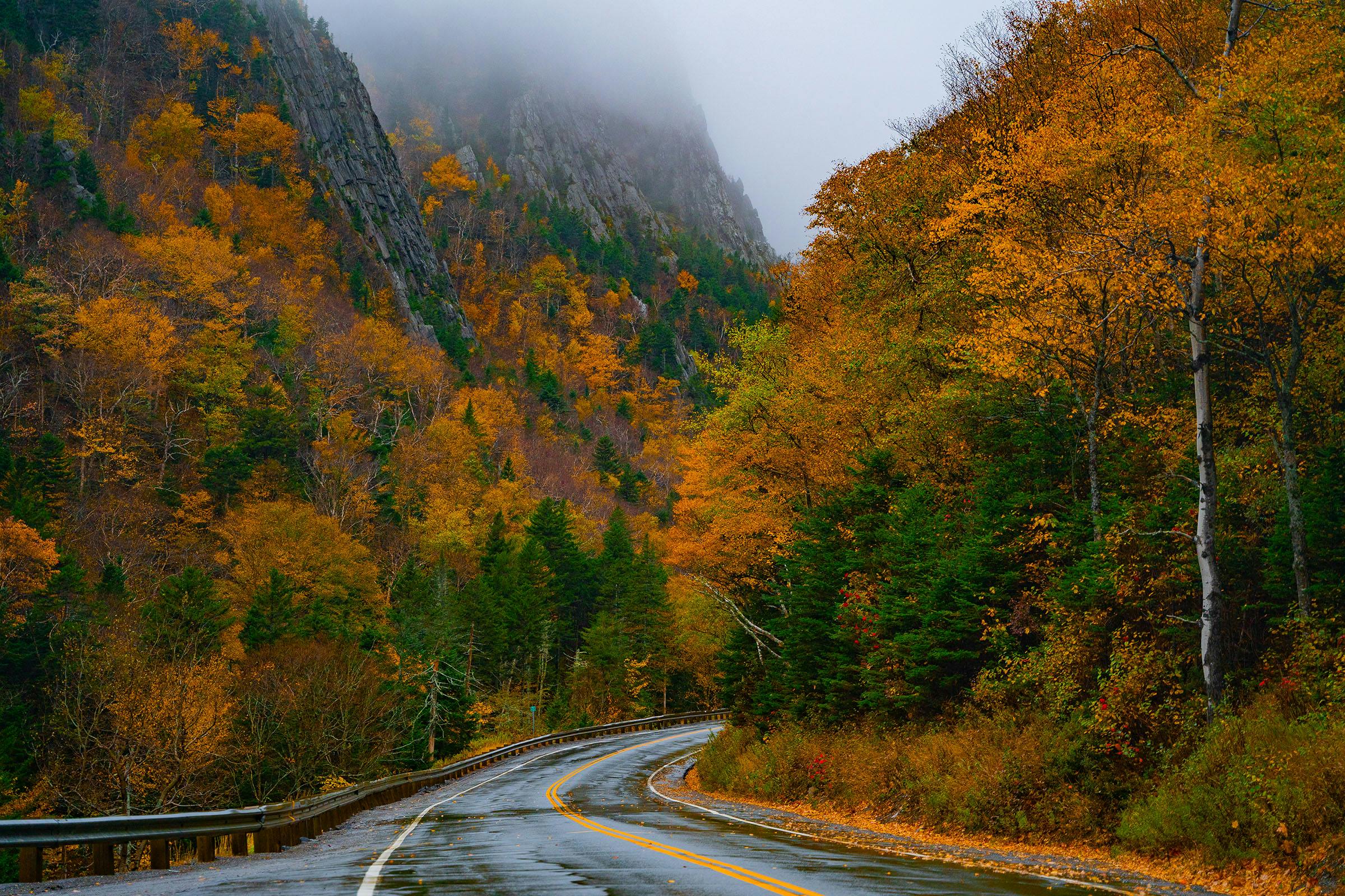 A wet, winding road lined by colorful trees.