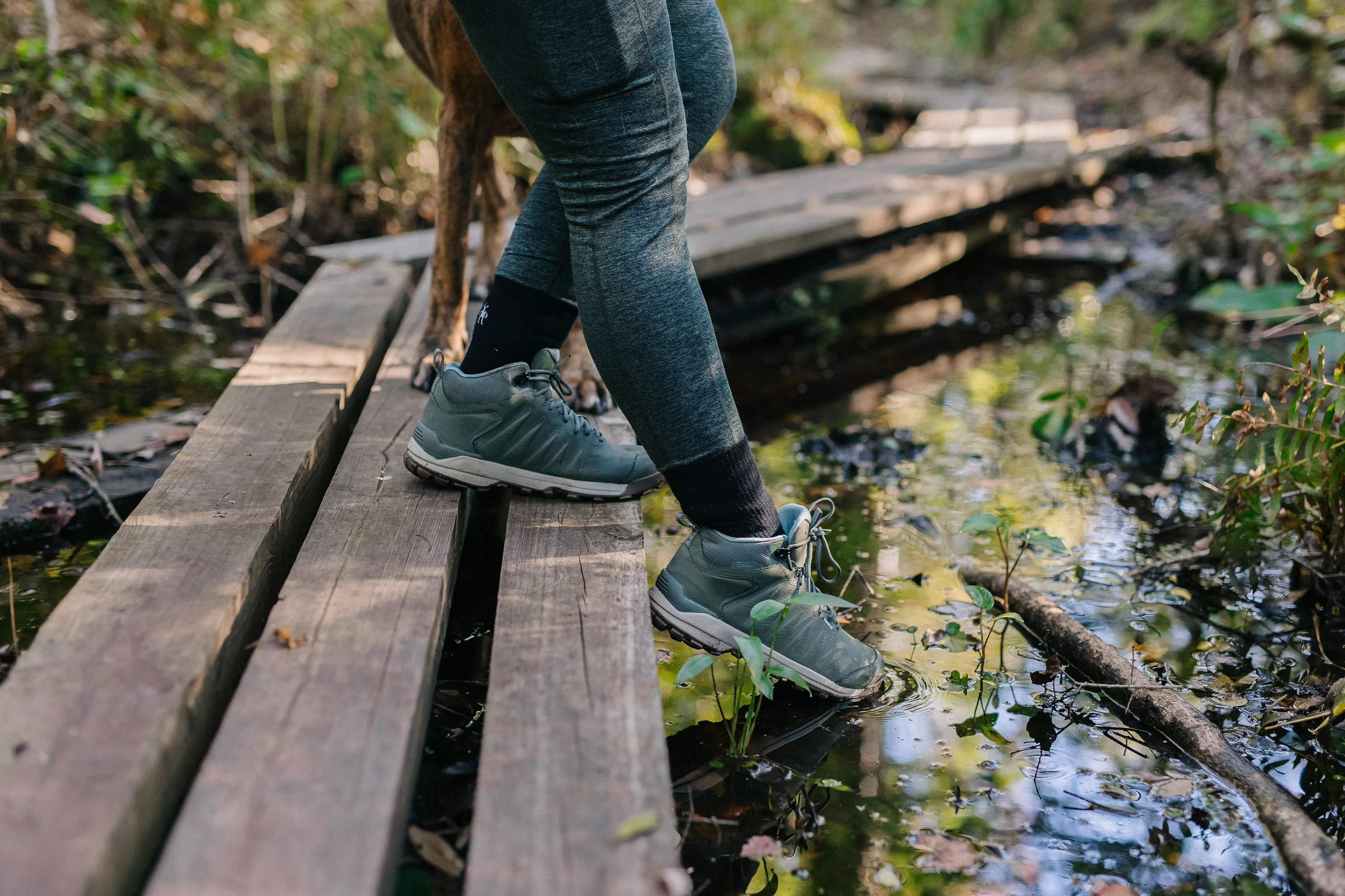 Hiker on a wooden trail dipping the tip of the Oboz Sypes Mid B Dry hiking boots into a pond