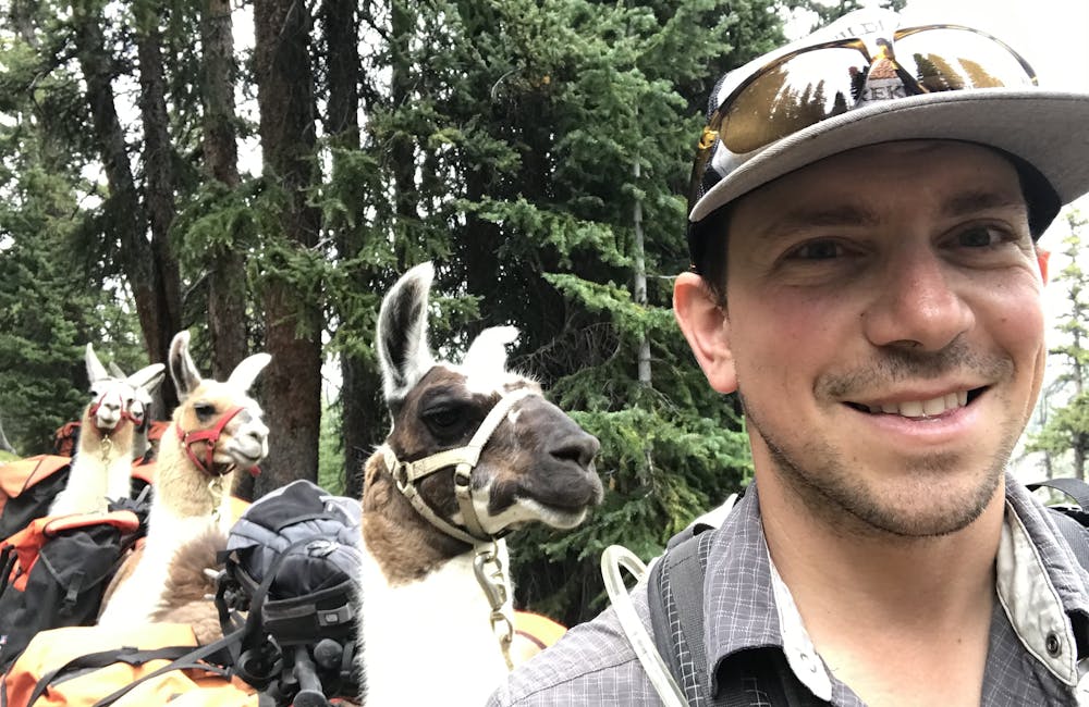 Alexi Kimiatek exploring Yellewstone with three llamas and gear