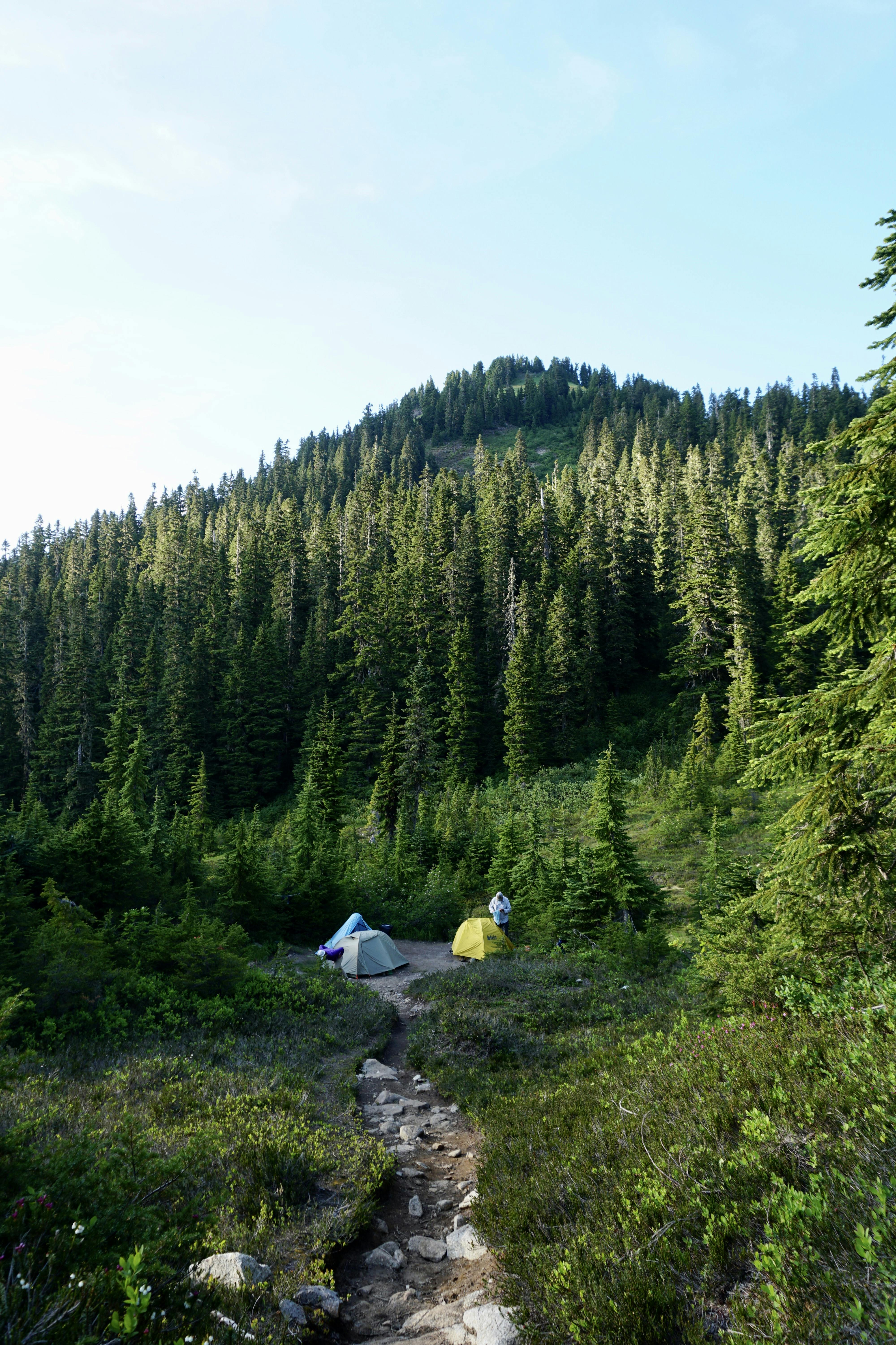 Campsite at Hannegan Camp on a sunny day. Image credit: Doris Wang