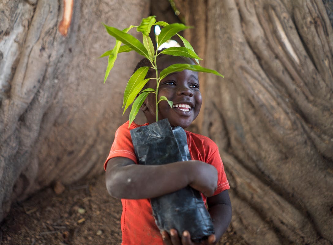 Boy holding saplings