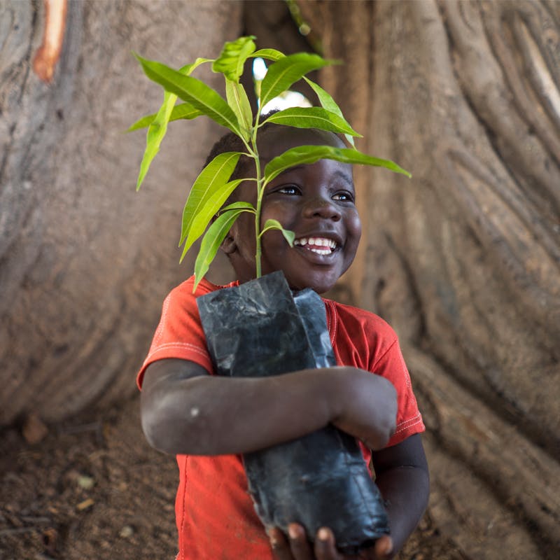 Young child holding a sapling that will be planted from the Oboz One More Tree program.