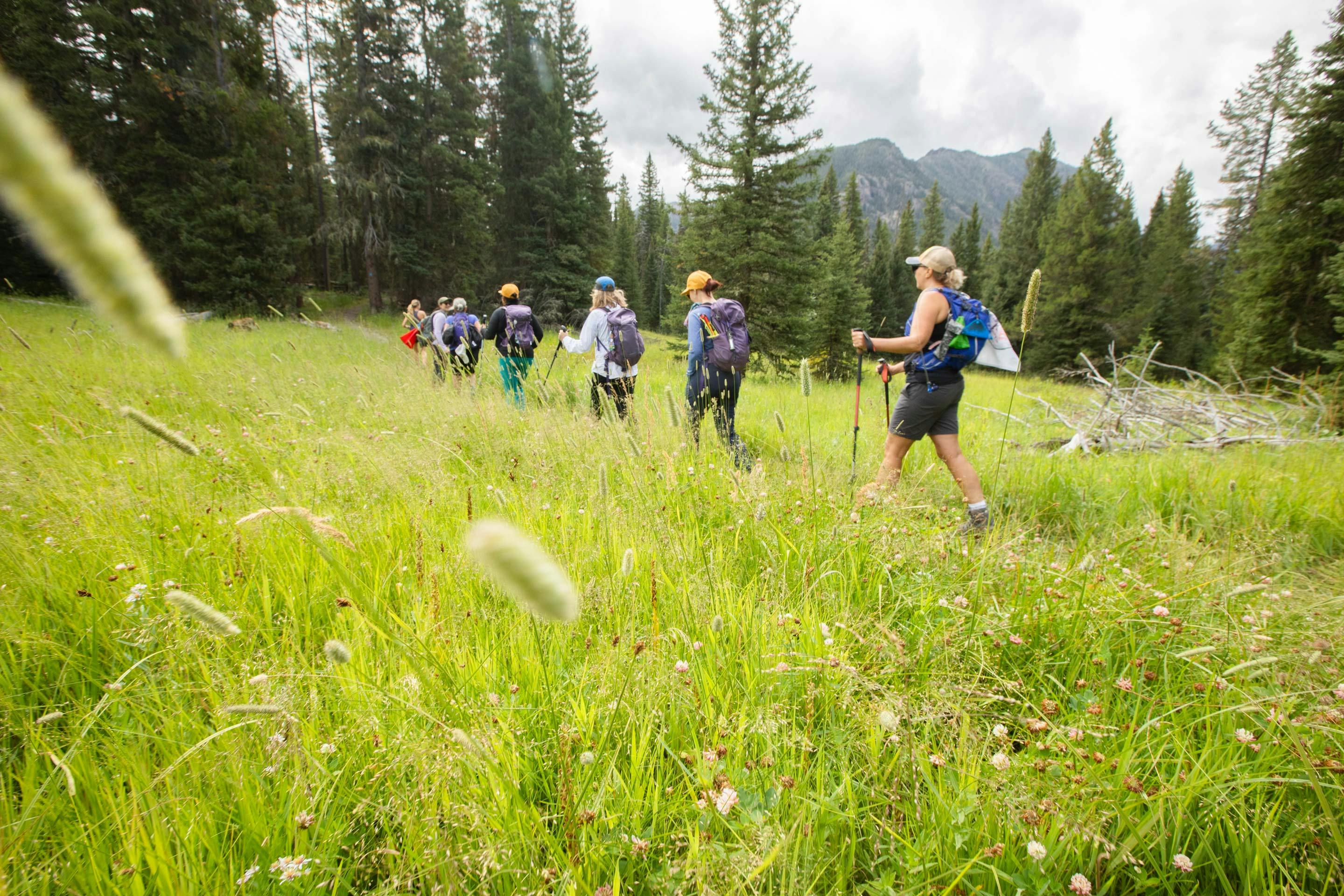Women hiking in the Montana wilderness as part of the Over 50 Outside community.