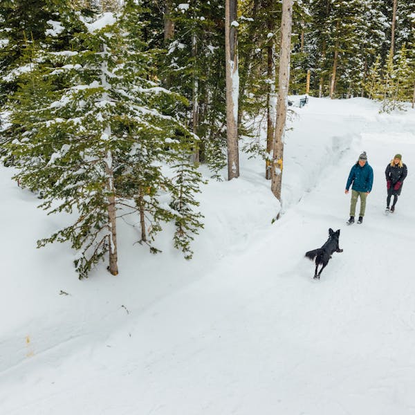 A couple walking in the snow with their dog while wearing insulated Oboz winter boots.