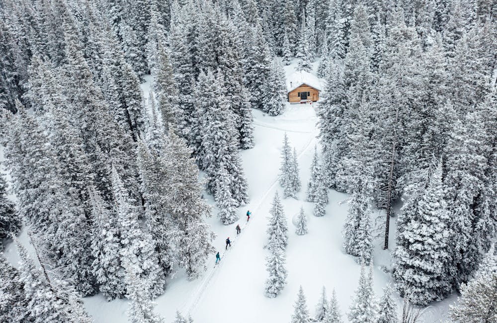 A group ski touring into a backcountry cabin in Montana