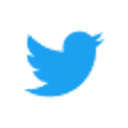Twitter Icon