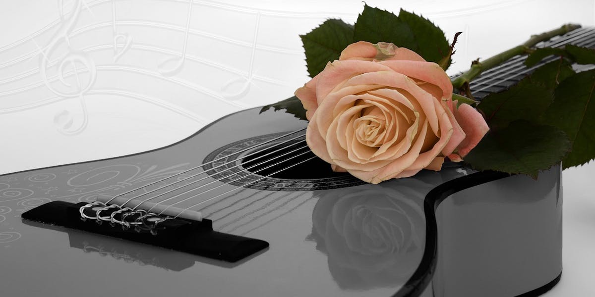 fleurs et guitare