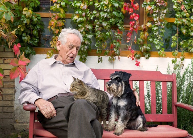 homme et chien