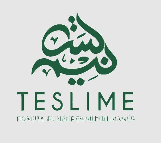 Logo Pompes Funèbres Musulmanes Teslime