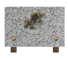 Photographie Pompes Funèbres Générales Etampes