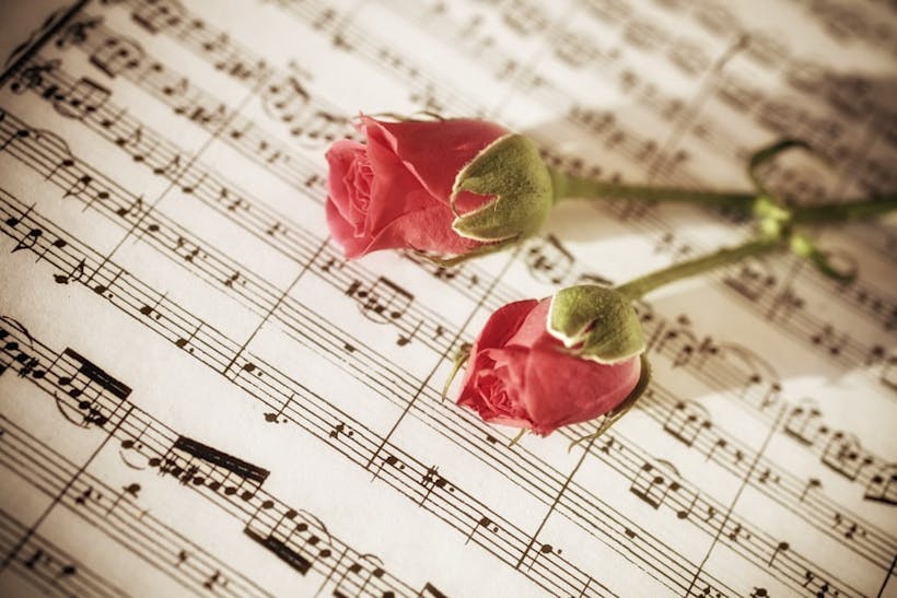 rose et note